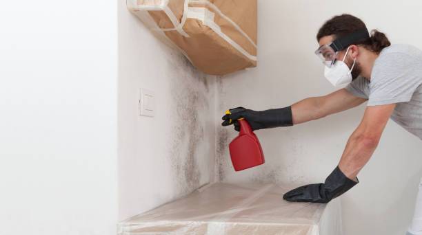 Professional Crawl Space Mold Removal technician working in Villa Park, IL